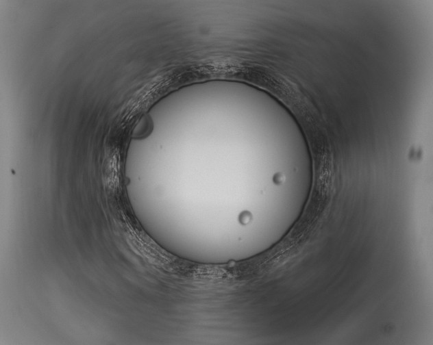 X0000113360866200909221157