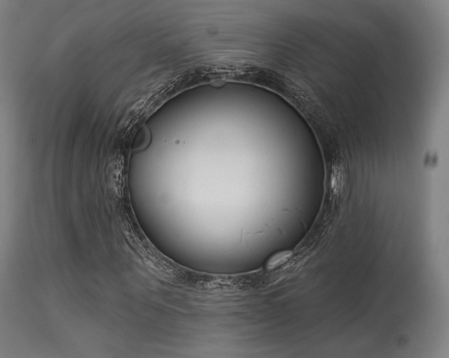 X0000113360867200909221157