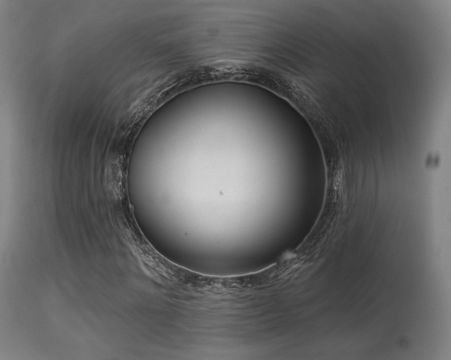 X0000113360868200909221157