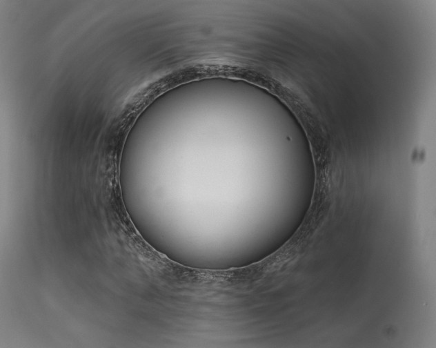 X0000113360870200909221157
