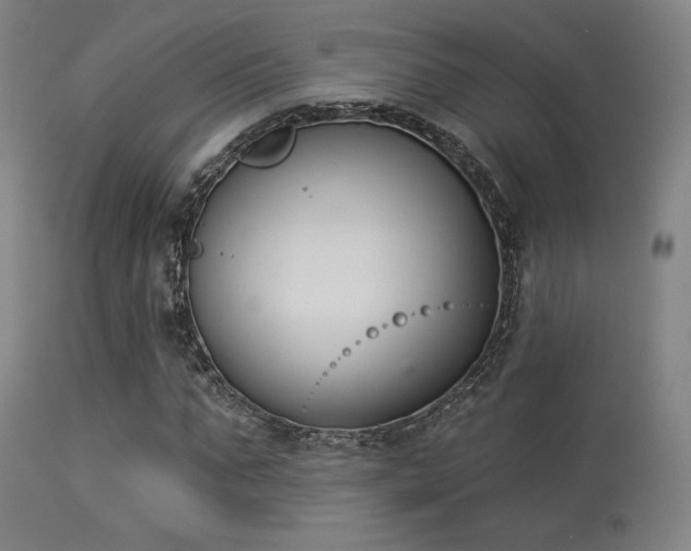X0000113360871200909221157