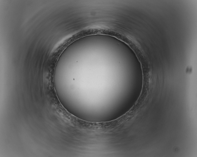 X0000113360872200909221157