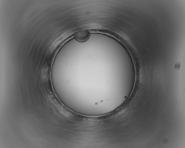 X0000113360873200909221157