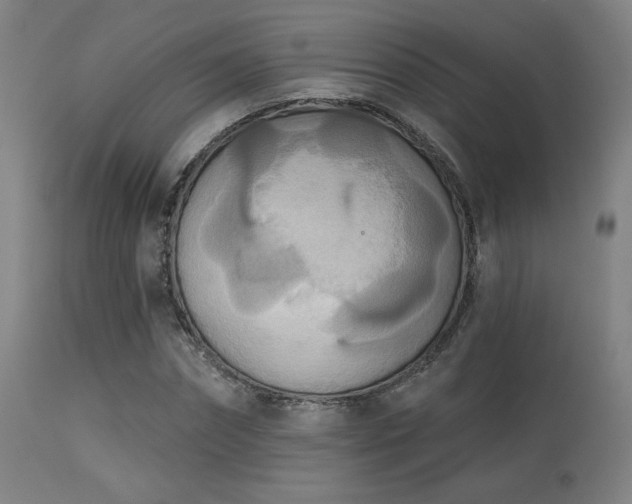X0000113360874200909221157