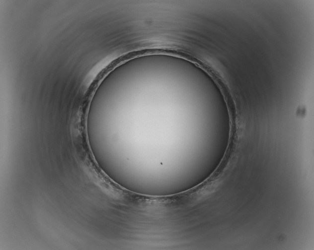 X0000113360875200909221157