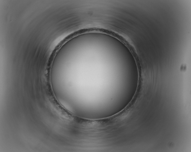 X0000113360879200909221157