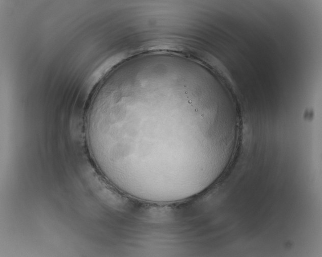 X0000113360882200909221157