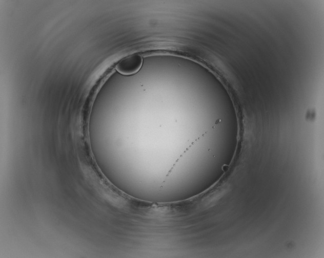 X0000113360883200909221157