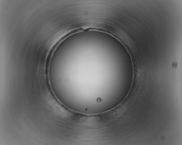 X0000113360884200909221157