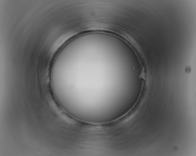 X0000113360885200909221156