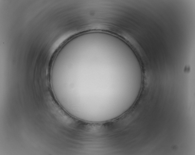 X0000113360886200909221156