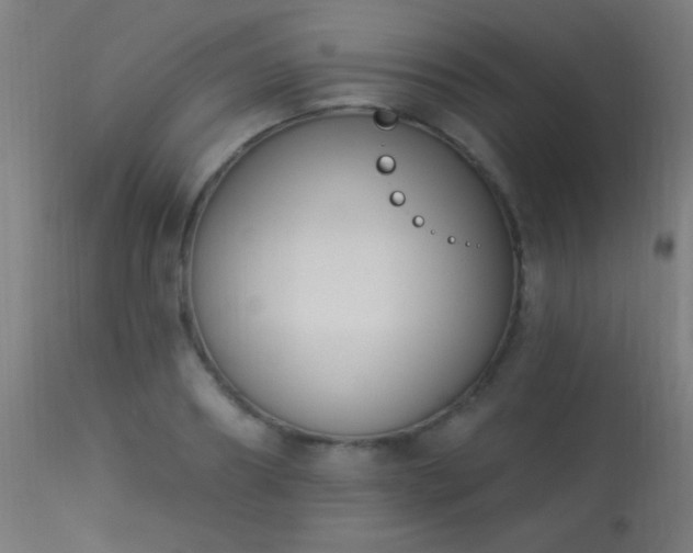 X0000113360890200909221156