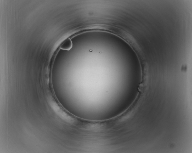 X0000113360892200909221156