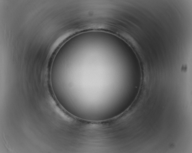 X0000113360894200909221156