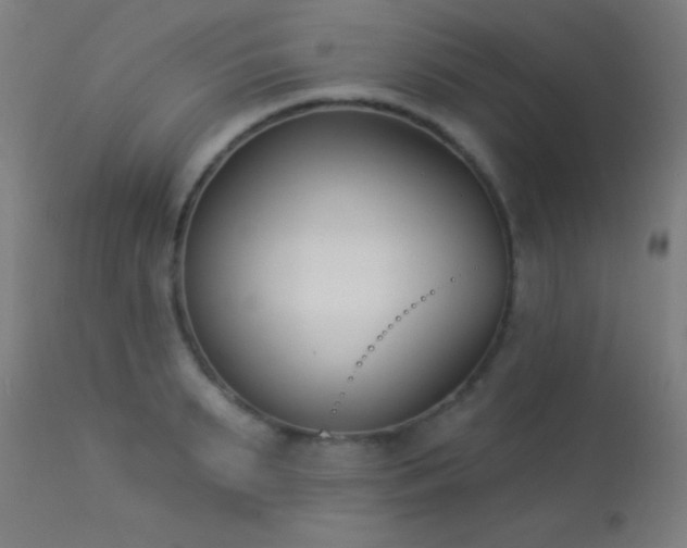 X0000113360895200909221156