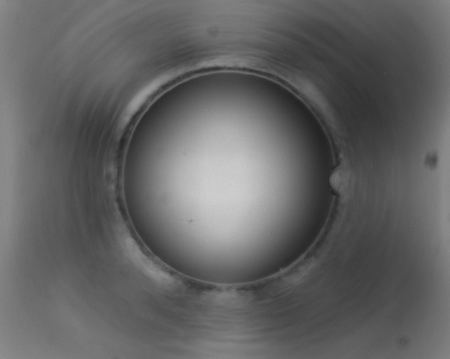X0000113360896200909221156