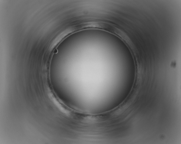 X0000113360898200909221156