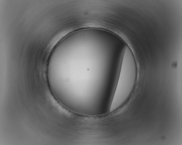 X0000113360901200909221156