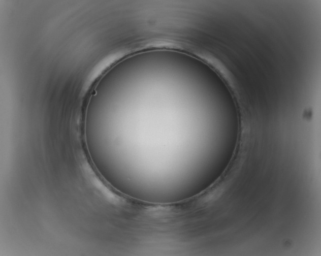 X0000113360902200909221156