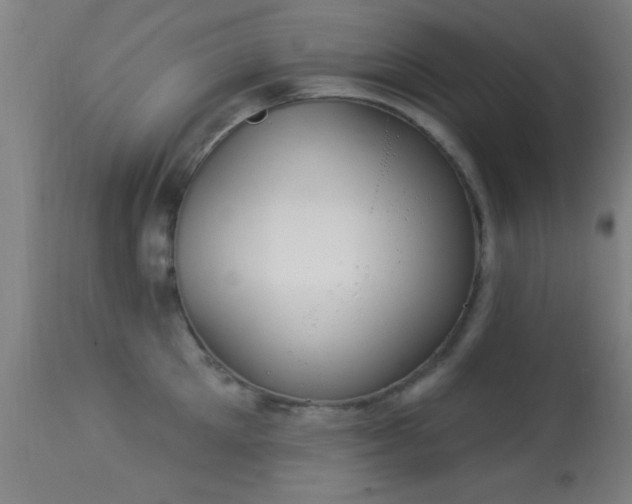 X0000113360905200909221156