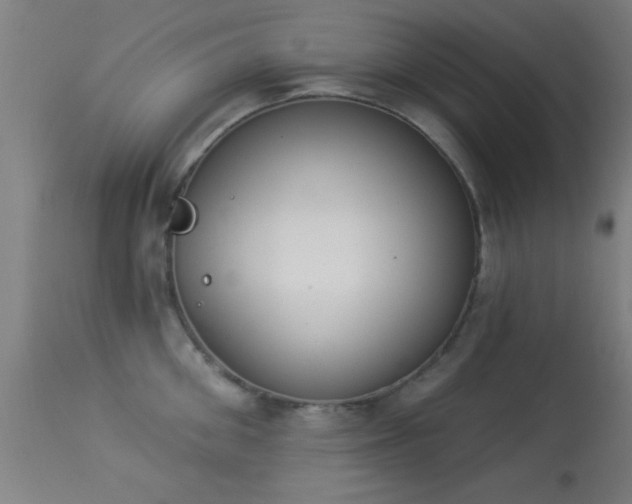 X0000113360906200909221156
