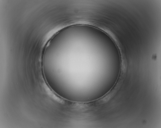 X0000113360910200909221156