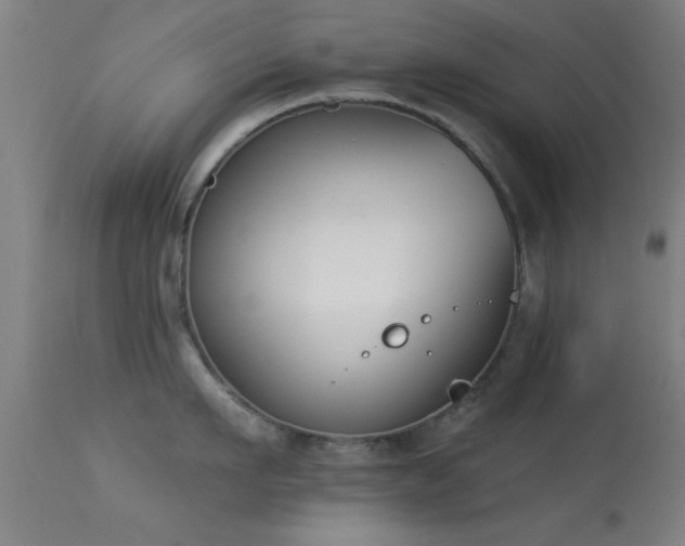 X0000113360911200909221156