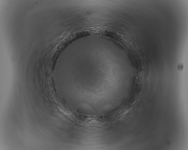 X0000113360913200909221155