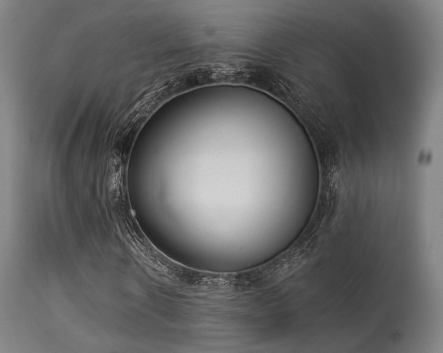 X0000113360914200909221155