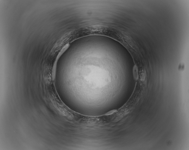 X0000113360916200909221155