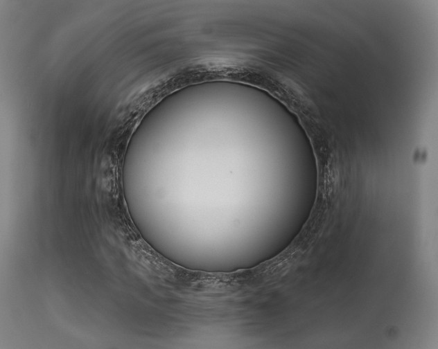 X0000113360917200909221155