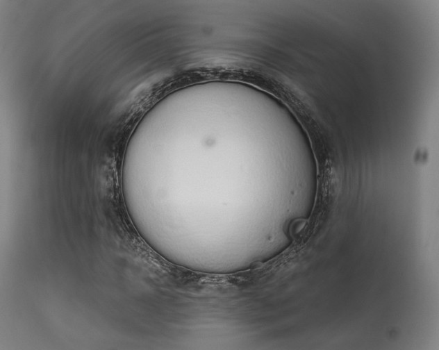 X0000113360918200909221155