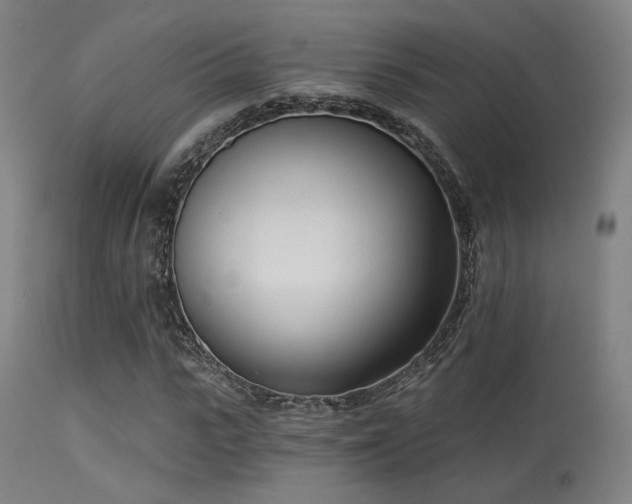 X0000113360919200909221155