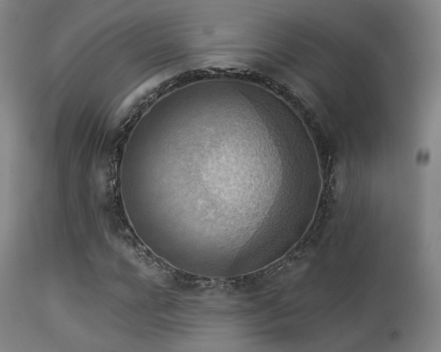 X0000113360920200909221155