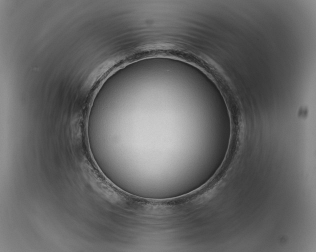 X0000113360921200909221155