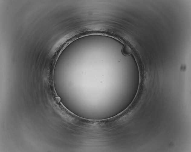 X0000113360922200909221155
