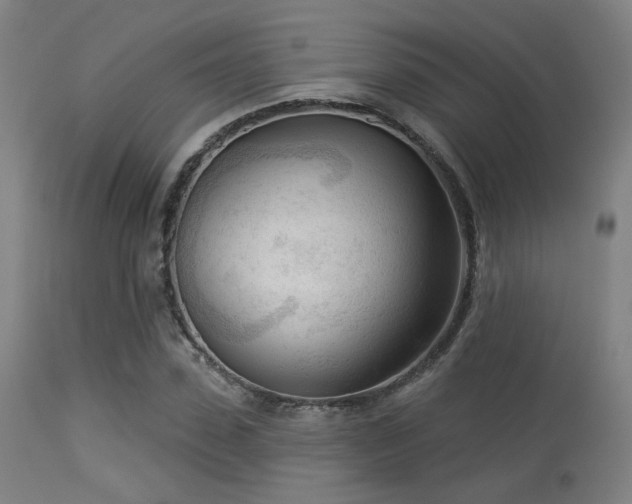 X0000113360923200909221155