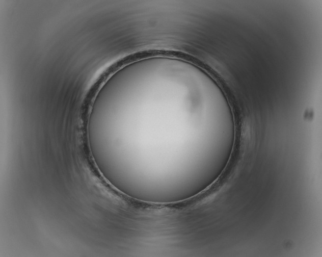 X0000113360926200909221155
