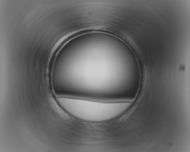 X0000113360932200909221156
