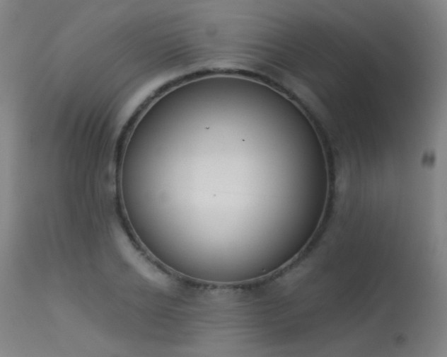 X0000113360934200909221156