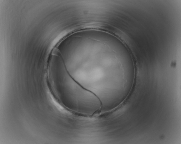 X0000113360941200909221156