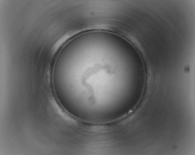 X0000113360944200909221156