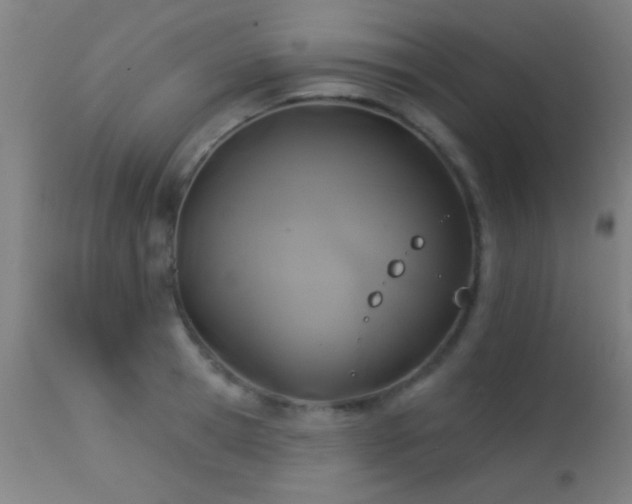 X0000113360945200909221156