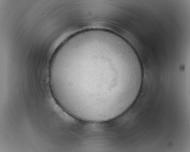 X0000113360950200909221156