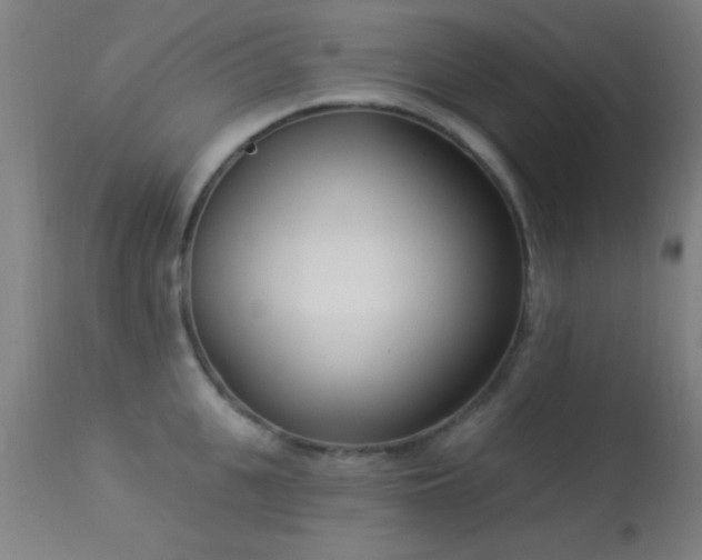 X0000113360951200909221156