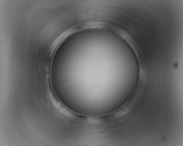 X0000113360954200909221156