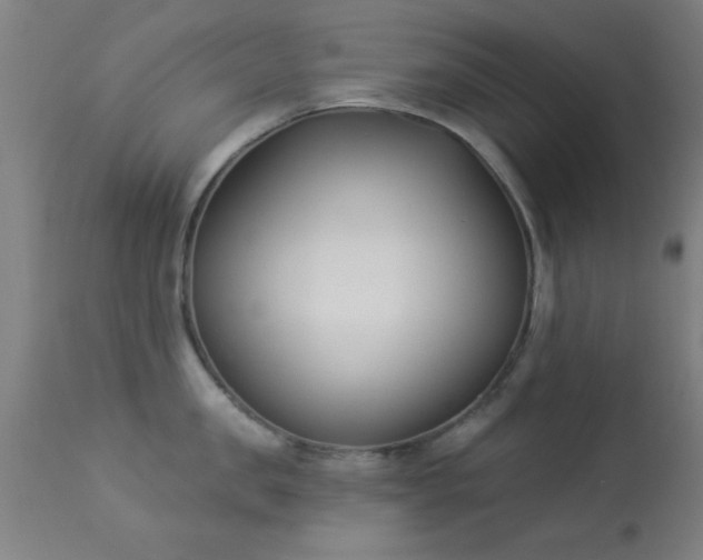 X0000113360957200909221156