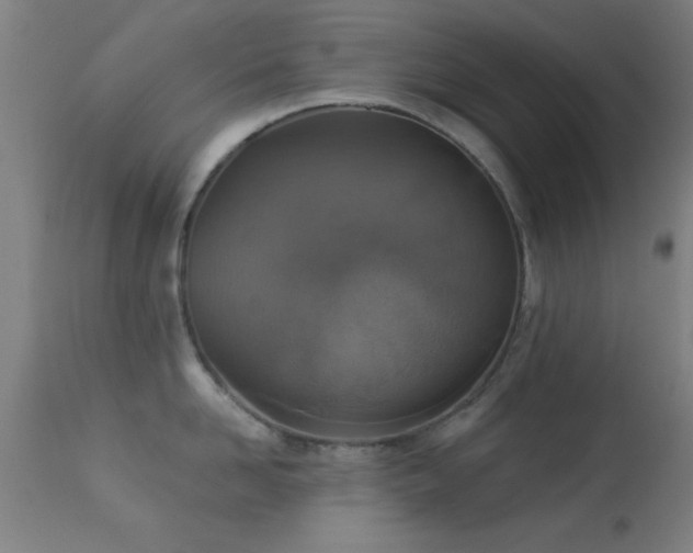 X0000113360958200909221156