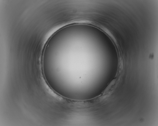 X0000113360959200909221156