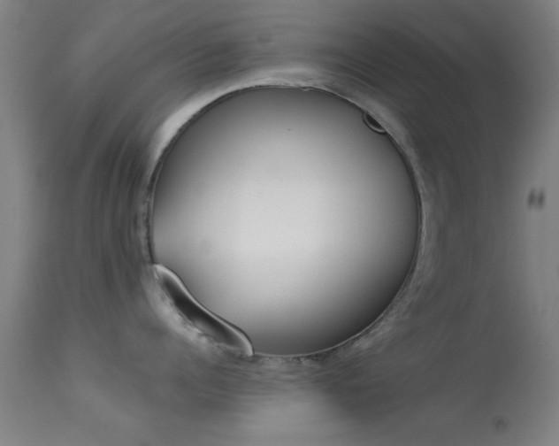 X0000113360960200909221156
